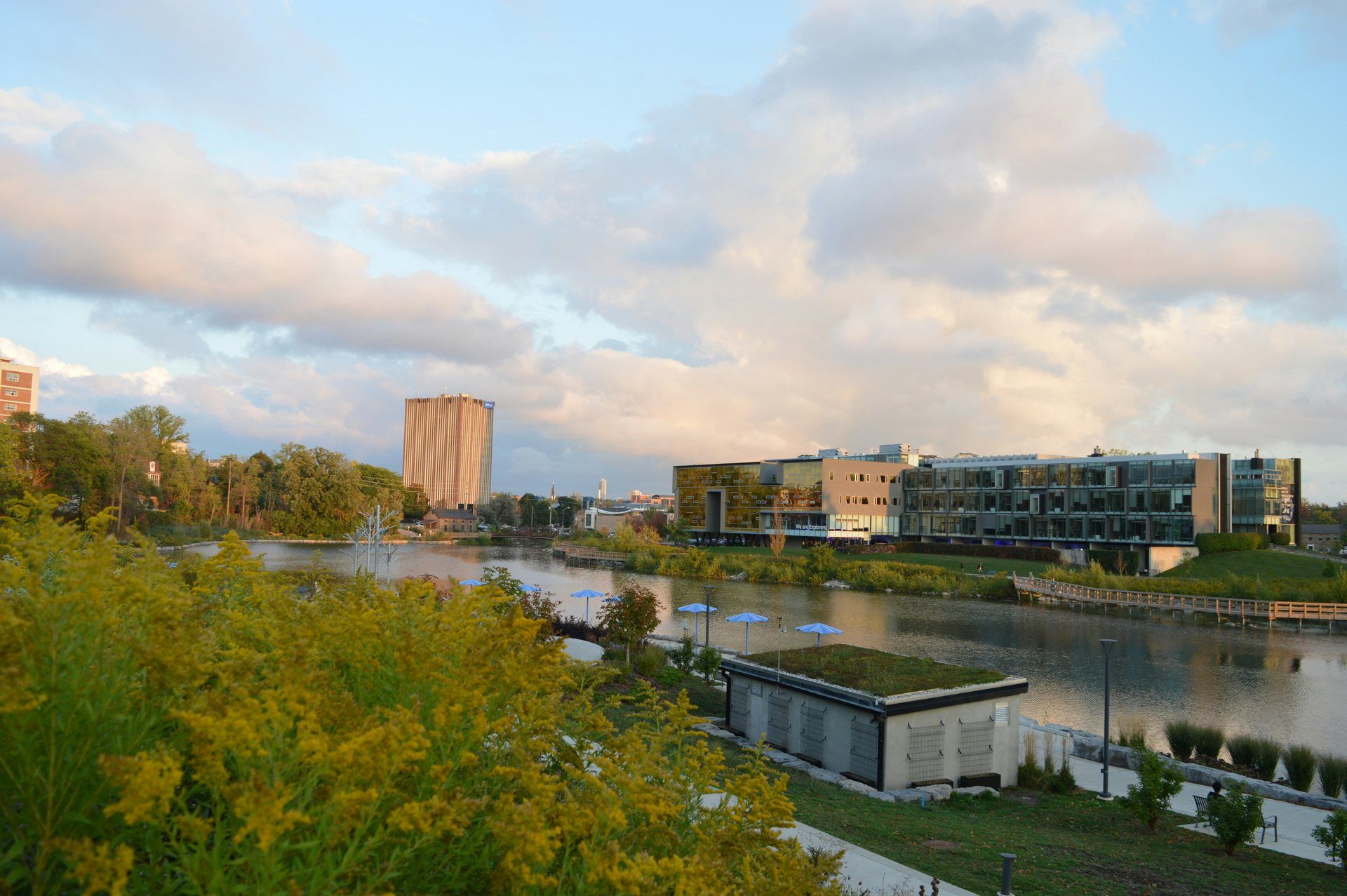Silver Lake in Waterloo Park with goldenrod in the foreground and modern buildings beyond